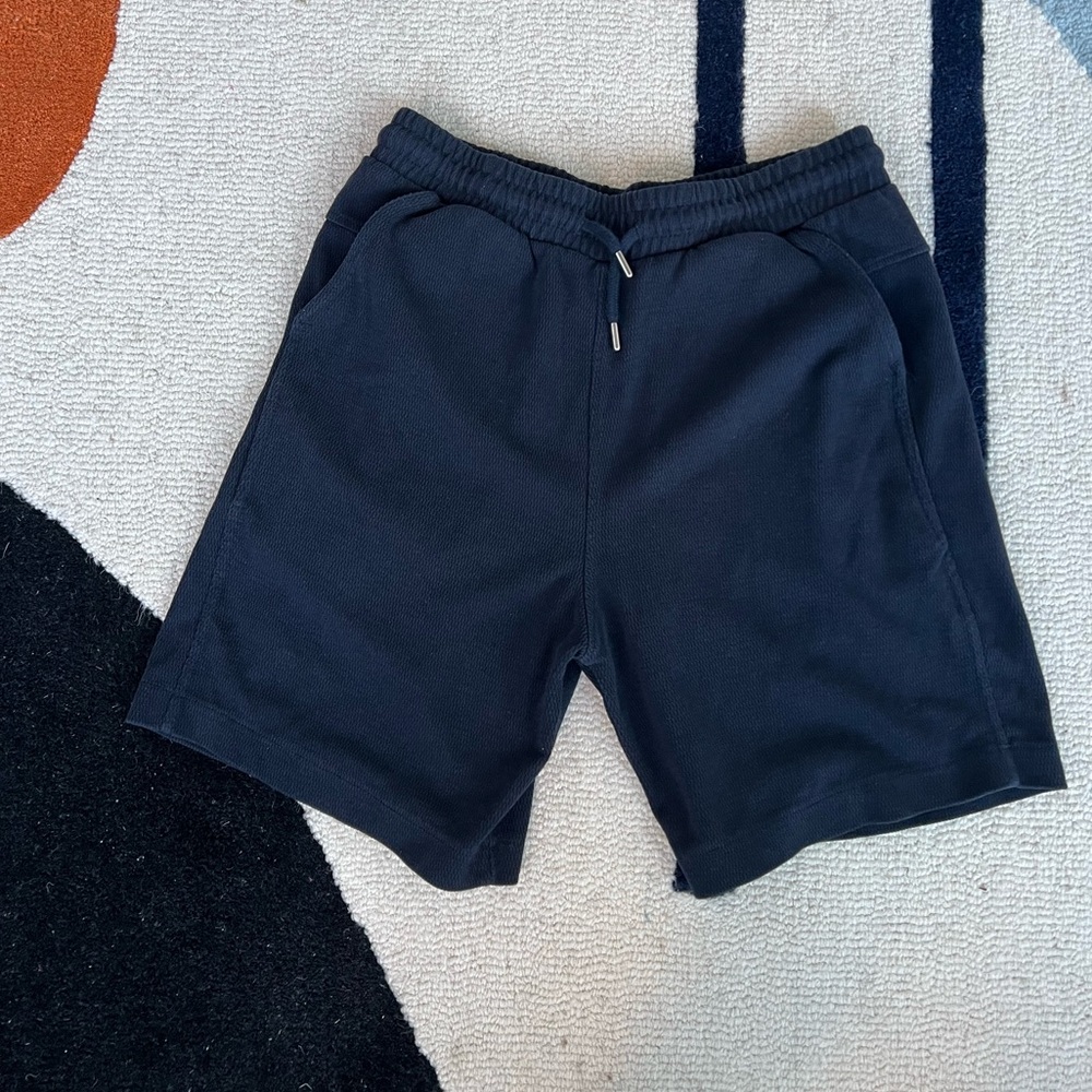 Blue Zara Shorts